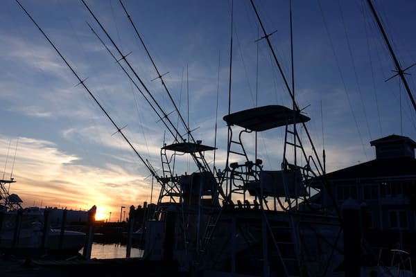 Masts of yachts parked in marina at dusk in Pirate's Cove Marina, Manteo, North Carolina criss cross the sky.