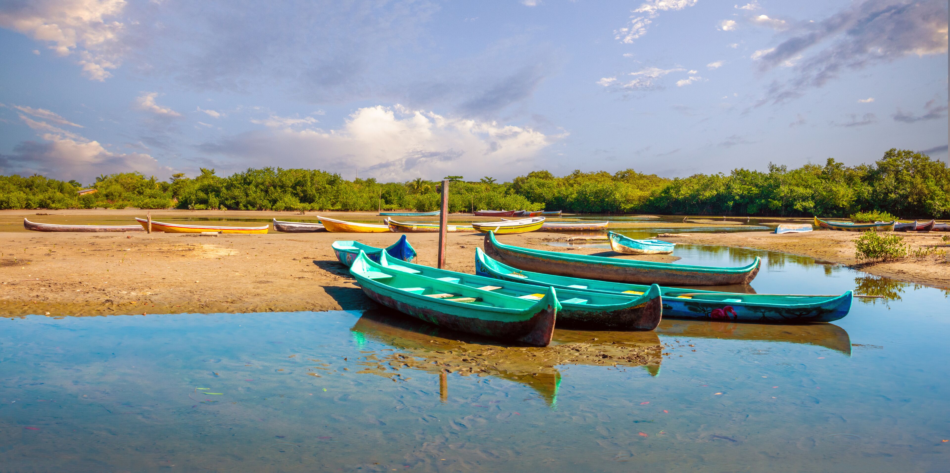 Traditional fishing canoes sitting idle in low tide in the mangroves of La Boquilla, a traditional fishing village near Cartagena, Colombia