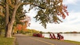 A park with a lake, red Adirondack chairs, and autumn foliage.