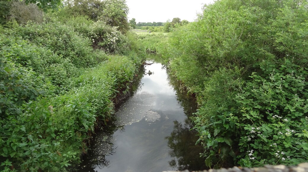 Yeading Brook in Yeading Brook Meadows in Hillingdon, London