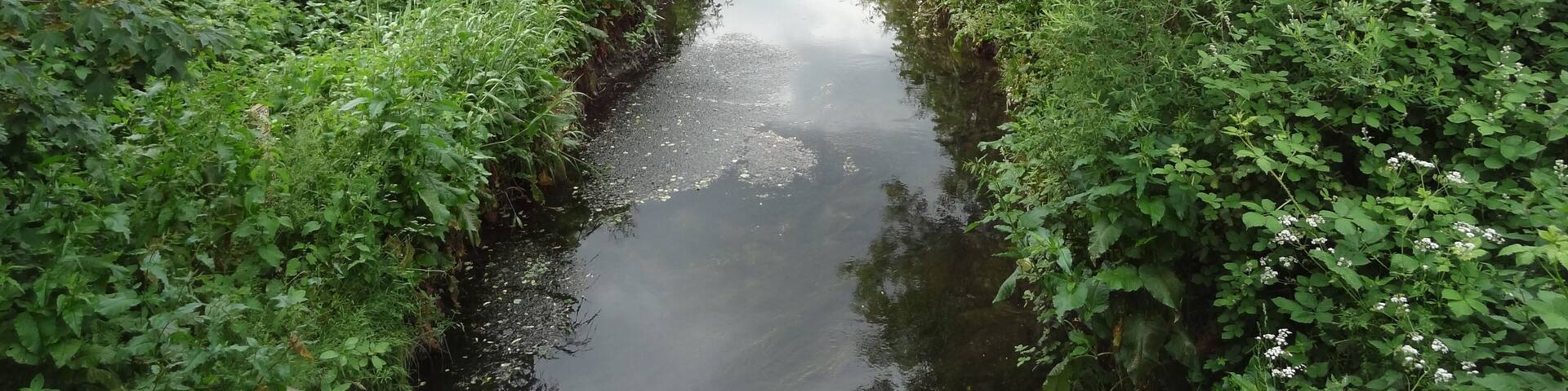 Yeading Brook in Yeading Brook Meadows in Hillingdon, London
