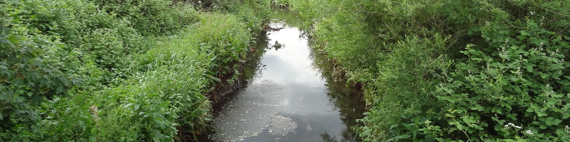 Yeading Brook in Yeading Brook Meadows in Hillingdon, London
