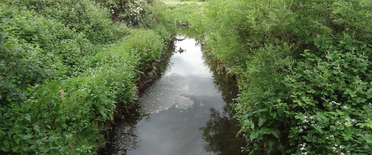 A narrow waterway flanked by dense greenery and a distant person walking.