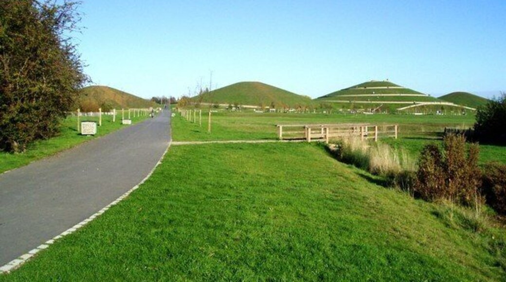 All four mounds at Northala Fields