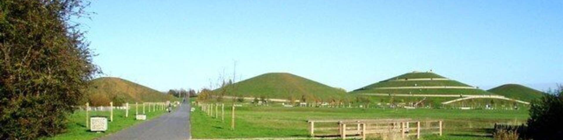 All four mounds at Northala Fields