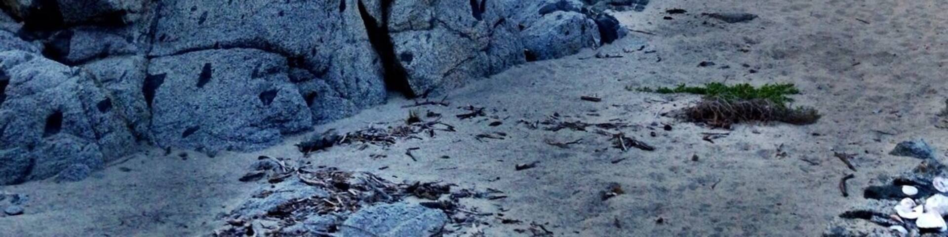 The stone sleeping cabin. Spectacular place to cozy up for a night on the beach. Complete with wood for bonfire, solar power, stove for AM coffee, and waves crashing at your door. A most hidden gem, off the grid. About $150/night.