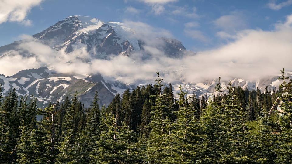 A snow-capped mountain with a forested foreground and clouds at its base.