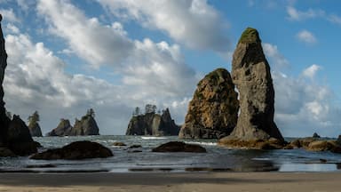 Low Tide At Shi Shi Beach