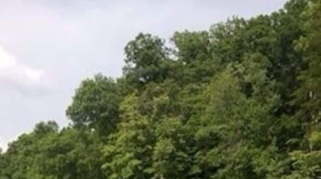 Tucker lake summer '13