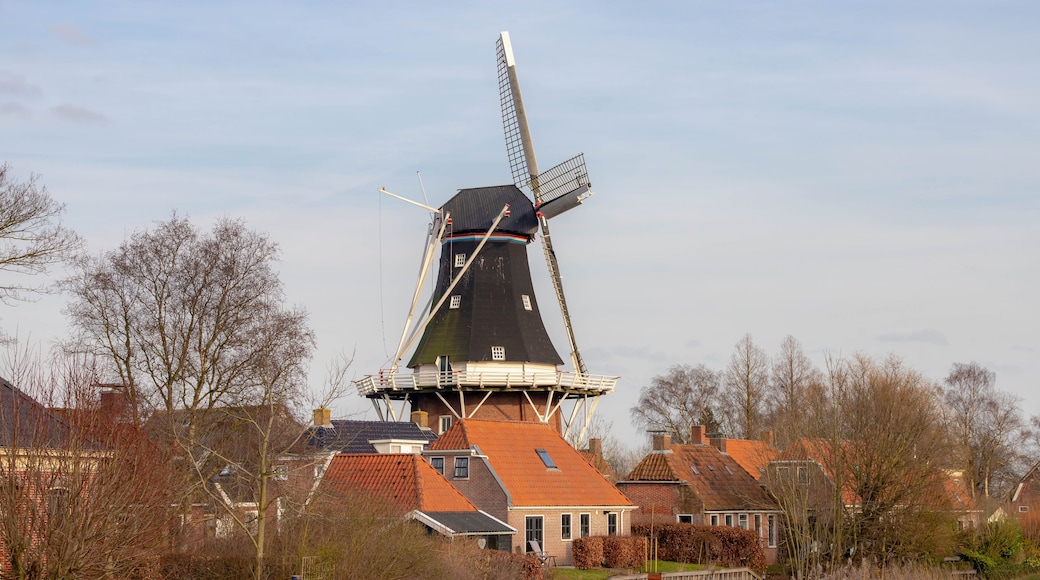 Municipio de Het Hogeland