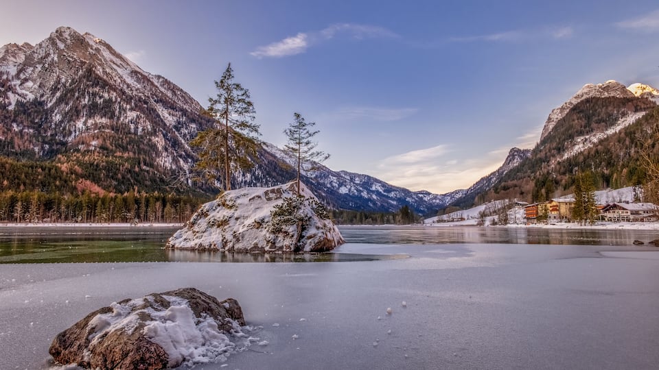 A frozen lake with snow-covered mountains and a single tree in the foreground.