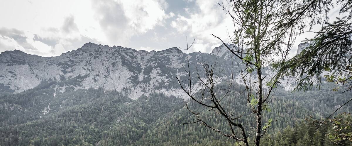 Early morning walk around Hinter see.