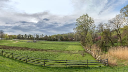 Historic Farm Panorama