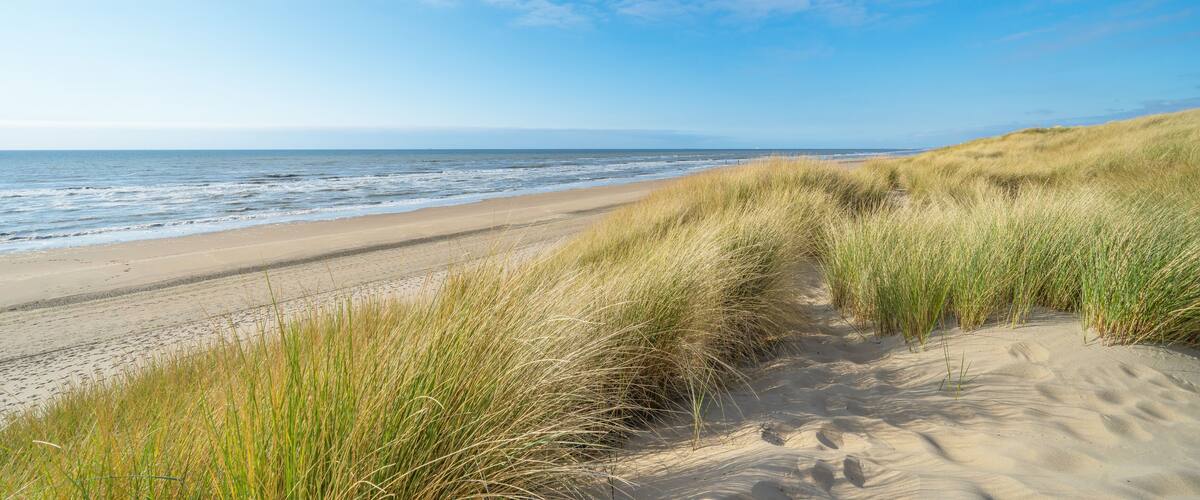 Panoramic landscape background banner panorama of sand dune, beach and ocean North Sea with blue sky.