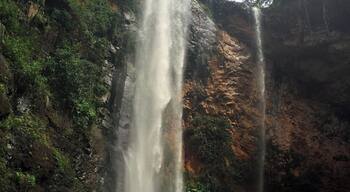 We took a guided hike to this beautiful waterfall. The hike departed from the Pousada das Palmeiras in Brotas, Brazil. It's a vigorous and wet 45-minute hike to reach the fall, where you can relax and swim in its pool. Our guide provided us with hiking sticks, which were invaluable. #waterlust
More info here: http://www.badsentences.com/hike-to-cachoeira-santa-maria-brotas-brazil/