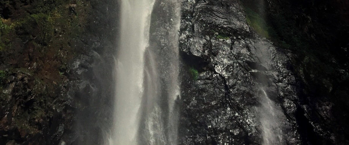 We took a guided hike to this beautiful waterfall. The hike departed from the Pousada das Palmeiras in Brotas, Brazil. It's a vigorous and wet 45-minute hike to reach the fall, where you can relax and swim in its pool. Our guide provided us with hiking sticks, which were invaluable. #waterlust
More info here: http://www.badsentences.com/hike-to-cachoeira-santa-maria-brotas-brazil/