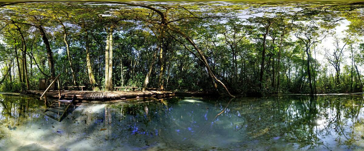 A tranquil river with a wooden dock and dense trees reflecting on the water.