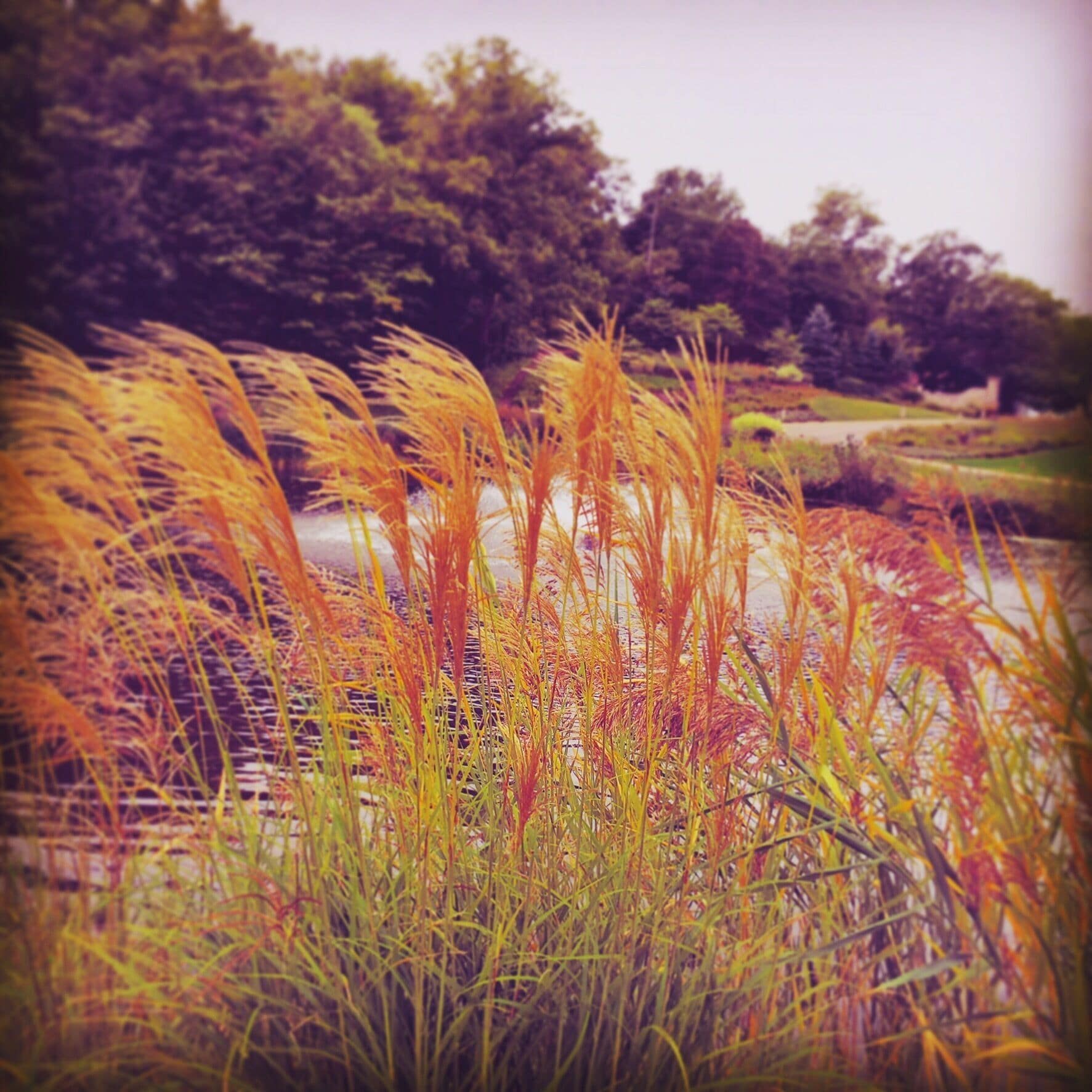 Nice winery to visit!  Who knew Canada had a wine country!