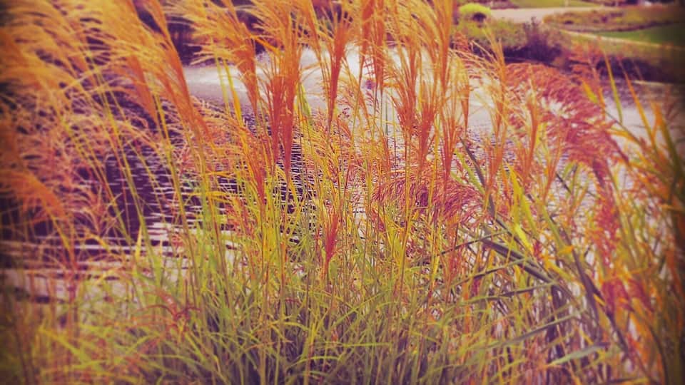 Nice winery to visit! Who knew Canada had a wine country!