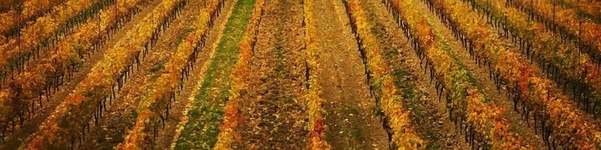 Still picturesque in the winter offseason..