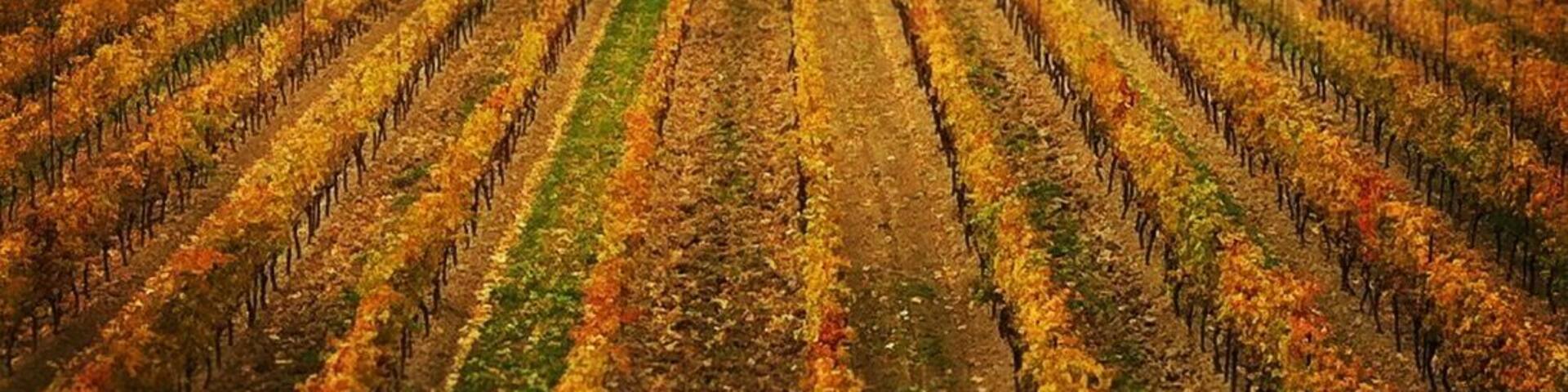 Still picturesque in the winter offseason..