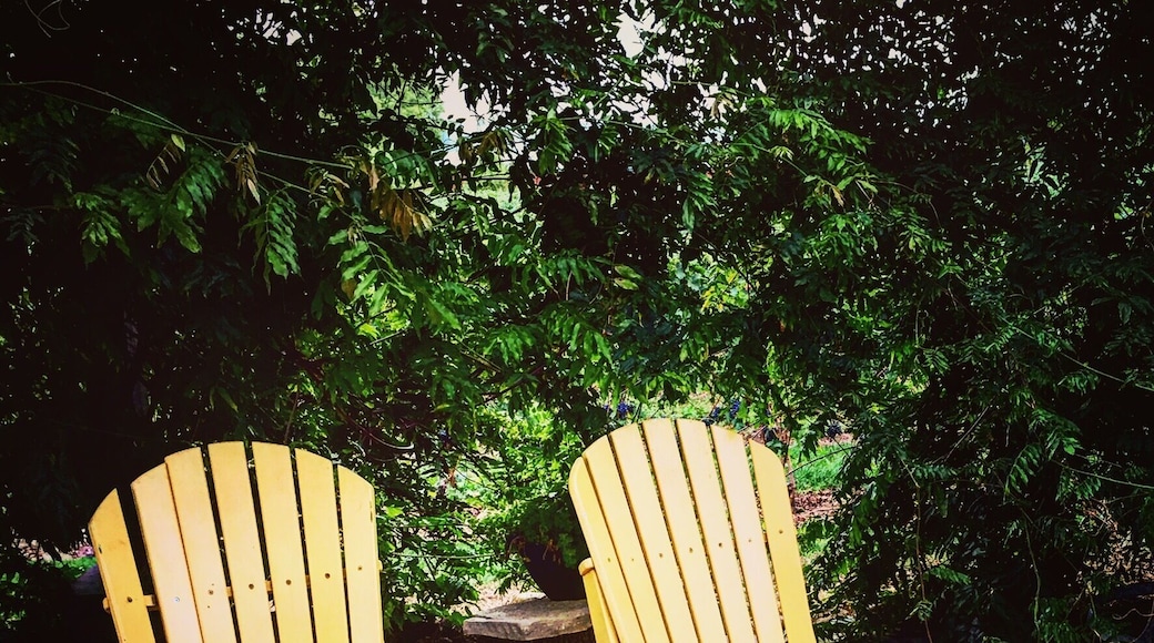 A great place to go and relax!