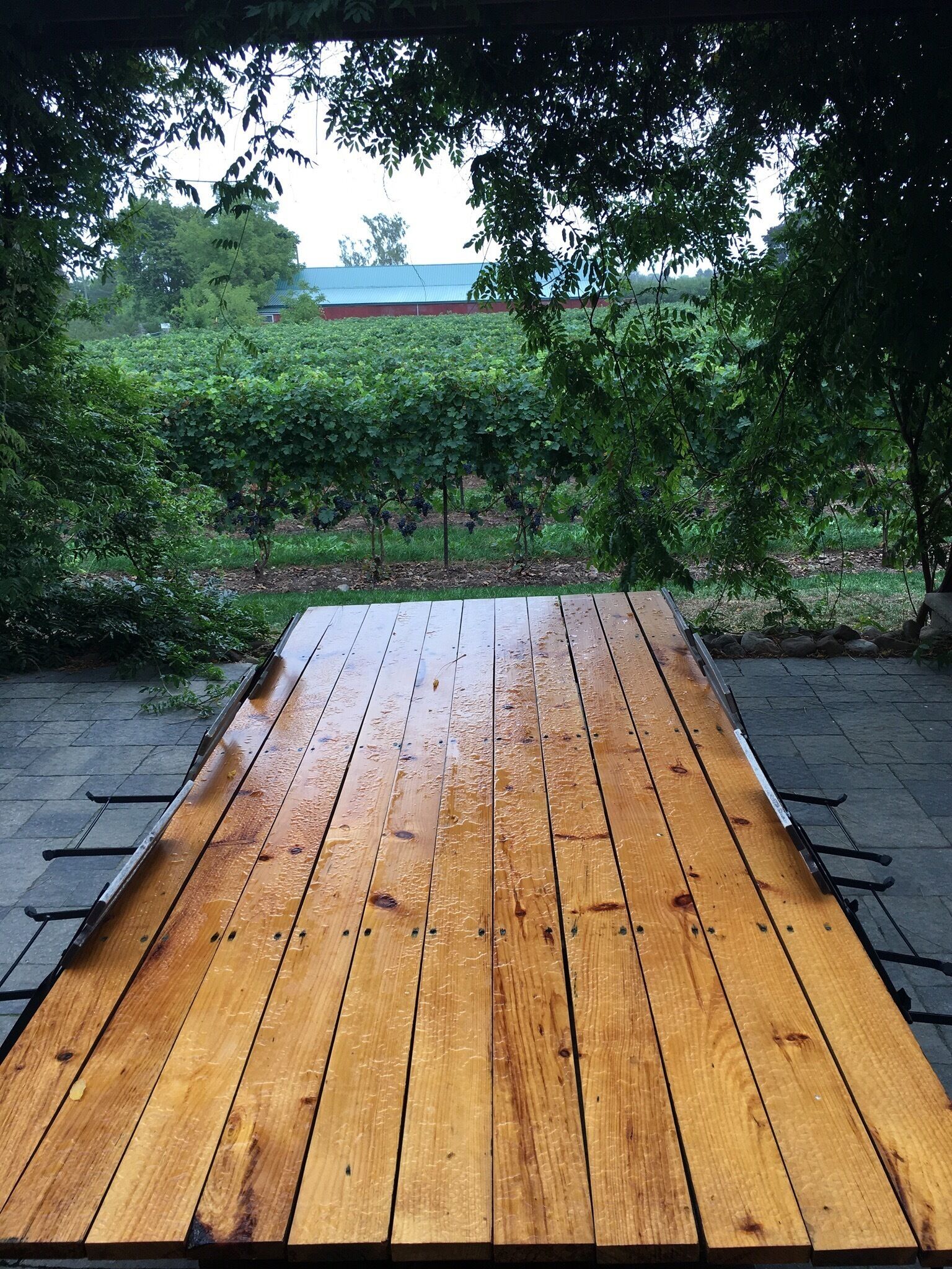 A place to bring all your family and friends!