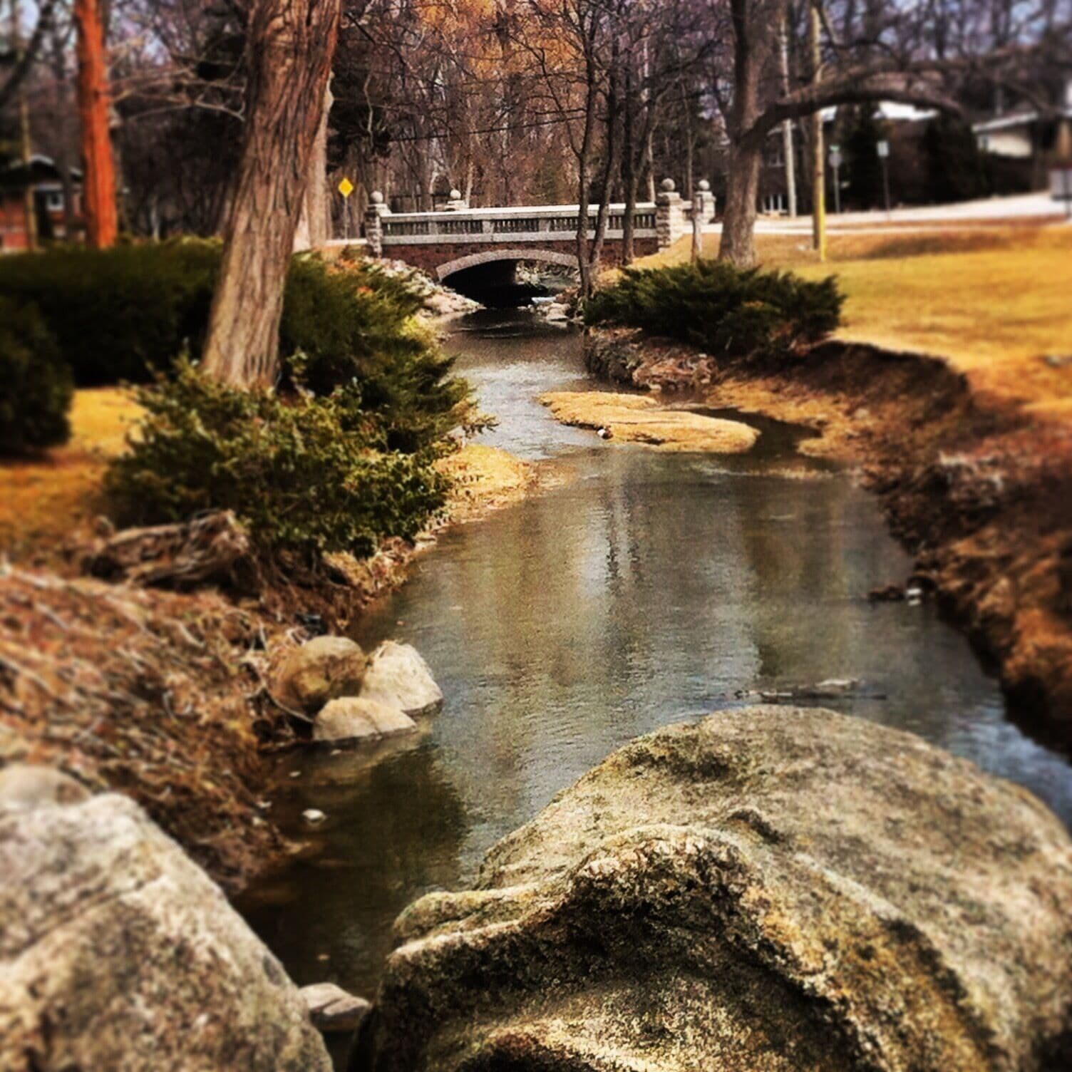 A stone bridge over a narrow stream in a park with trees and rocks.
