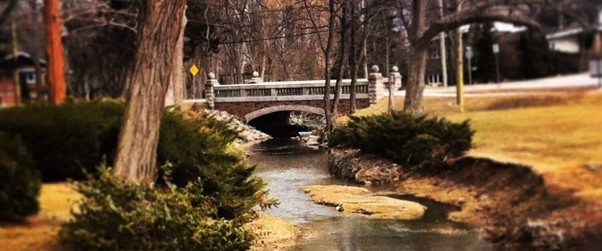 A stone bridge over a narrow stream in a park with trees and rocks.