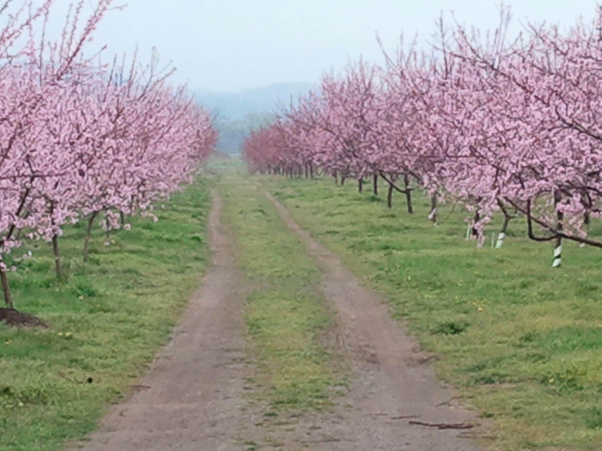 Great food, views, service, wine, and people..<3