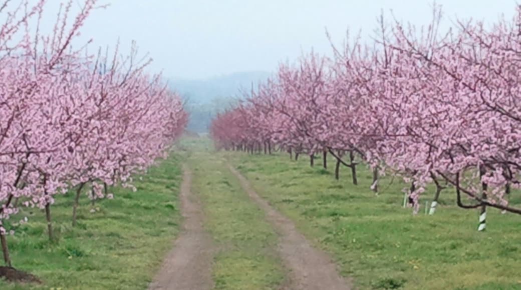 Great food, views, service, wine, and people..<3