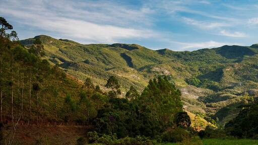 São Sebastião do Rio Preto