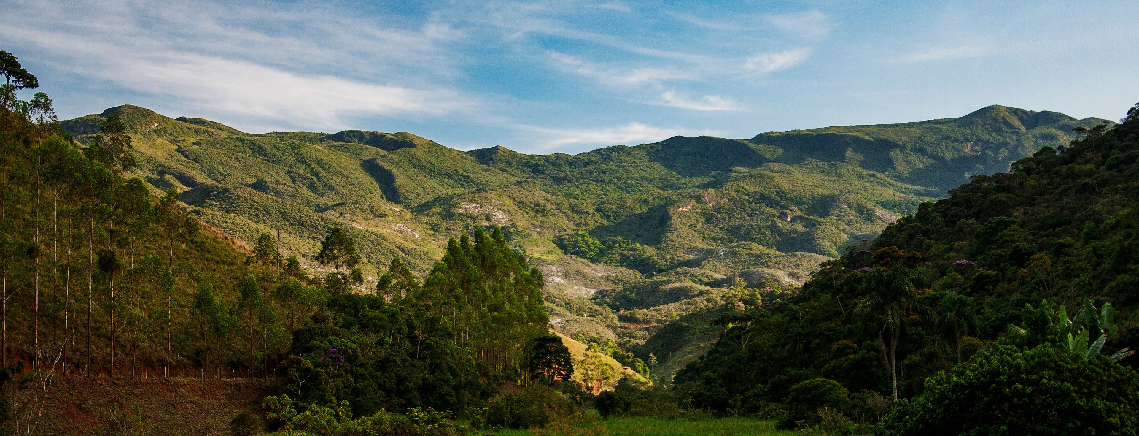 A mountainous landscape with dense forests and a clear sky.