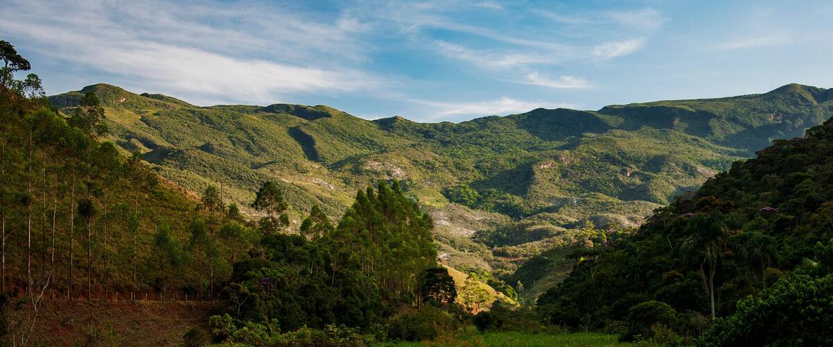 A mountainous landscape with dense forests and a clear sky.