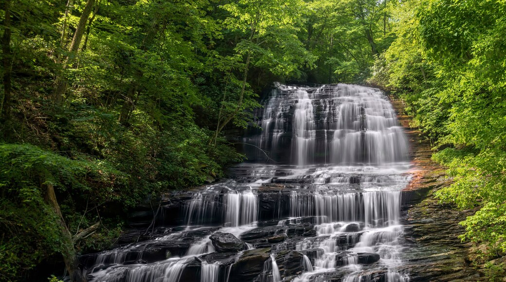 Pearsons Falls in North Carolina - The Knowlton Covered Bridge, in rural Monroe County, Ohio, spanned the Little Muskingom River for well over a century till it collapsed on July 5th, 2019.