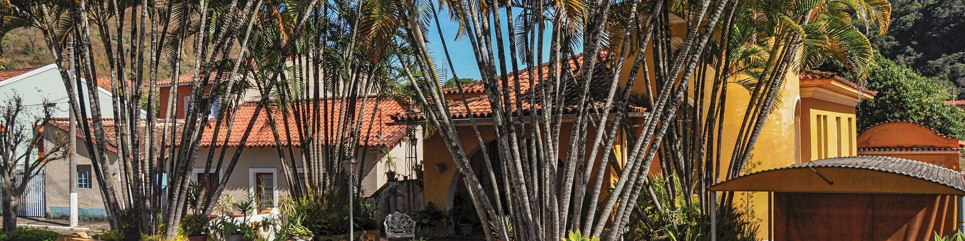 Una calle bordeada de altas palmeras y edificios amarillos con techos de tejas rojas.
