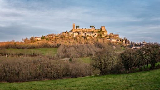 Une ville historique perchée sur une colline, dotée d’une architecture médiévale, notamment d’un château et d’une église.