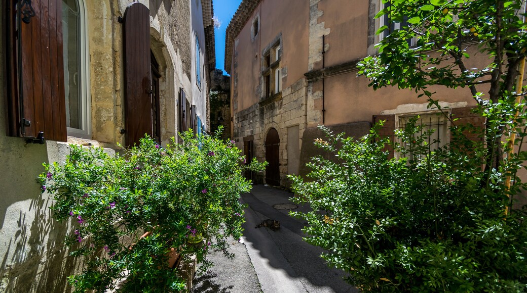 Saint-Mitre-les-Remparts, Bouches-du-Rhône - France.