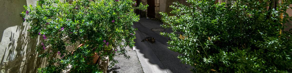 Saint-Mitre-les-Remparts, Bouches-du-Rhône - France.