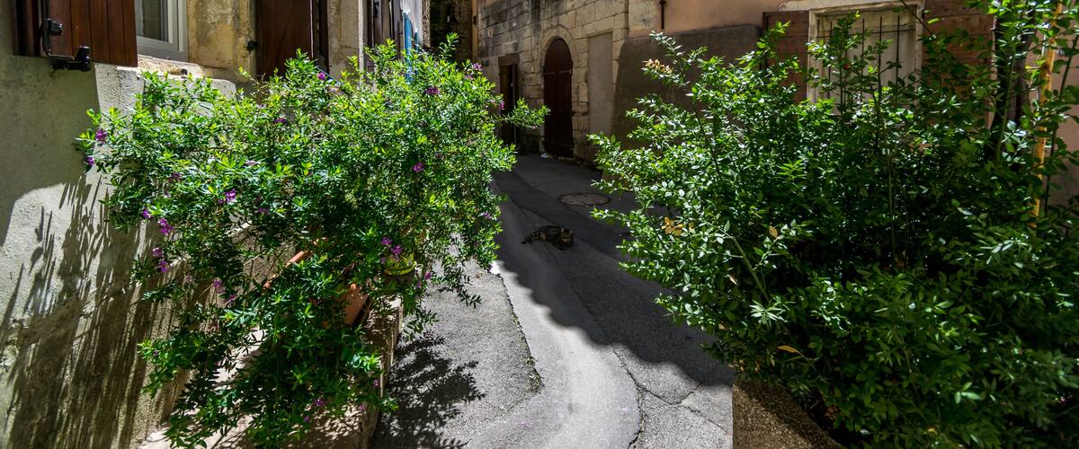Saint-Mitre-les-Remparts, Bouches-du-Rhône - France.