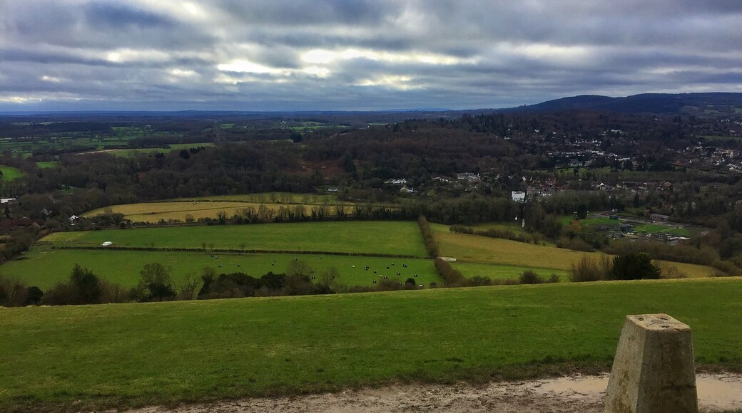 The view point from the top of Box Hill on a chilly January morning.