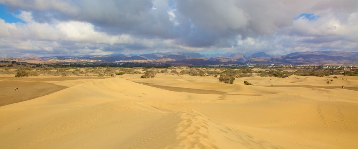 Maspalomas Dunes featuring desert views