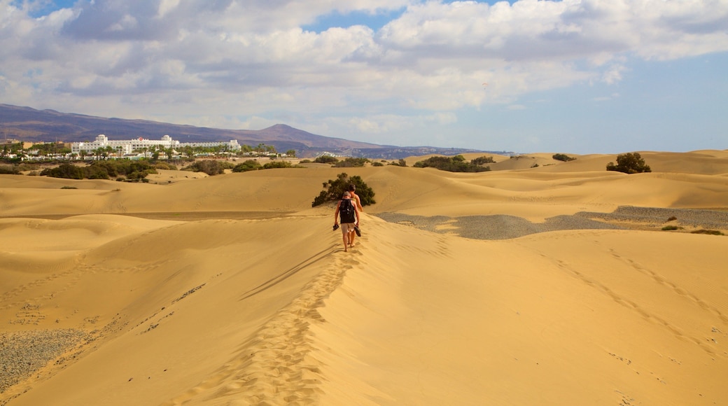 Maspalomas Dunes which includes desert views as well as a small group of people