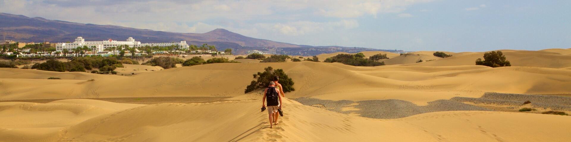 Dunes de Maspalomas montrant vues du désert aussi bien que petit groupe de personnes