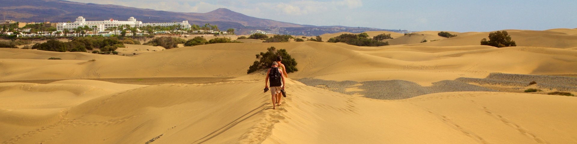 Dunas de Maspalomas que incluye vista al desierto y también un pequeño grupo de personas