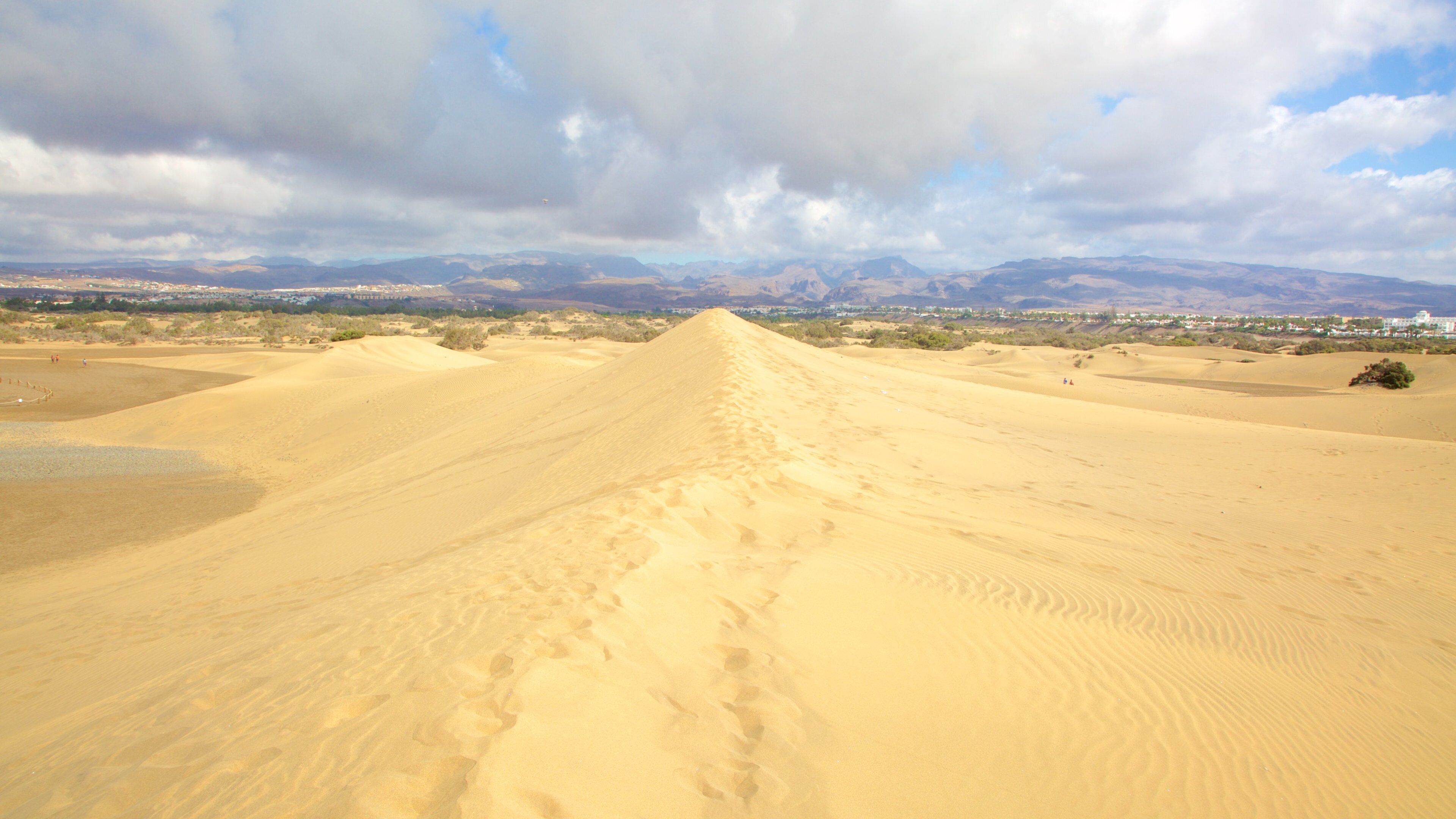 Dunas de Maspalomas que inclui paisagens do deserto