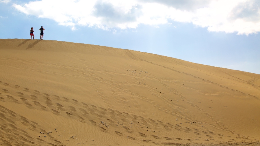 Cồn cát Maspalomas có tính năng cảnh sa mạc