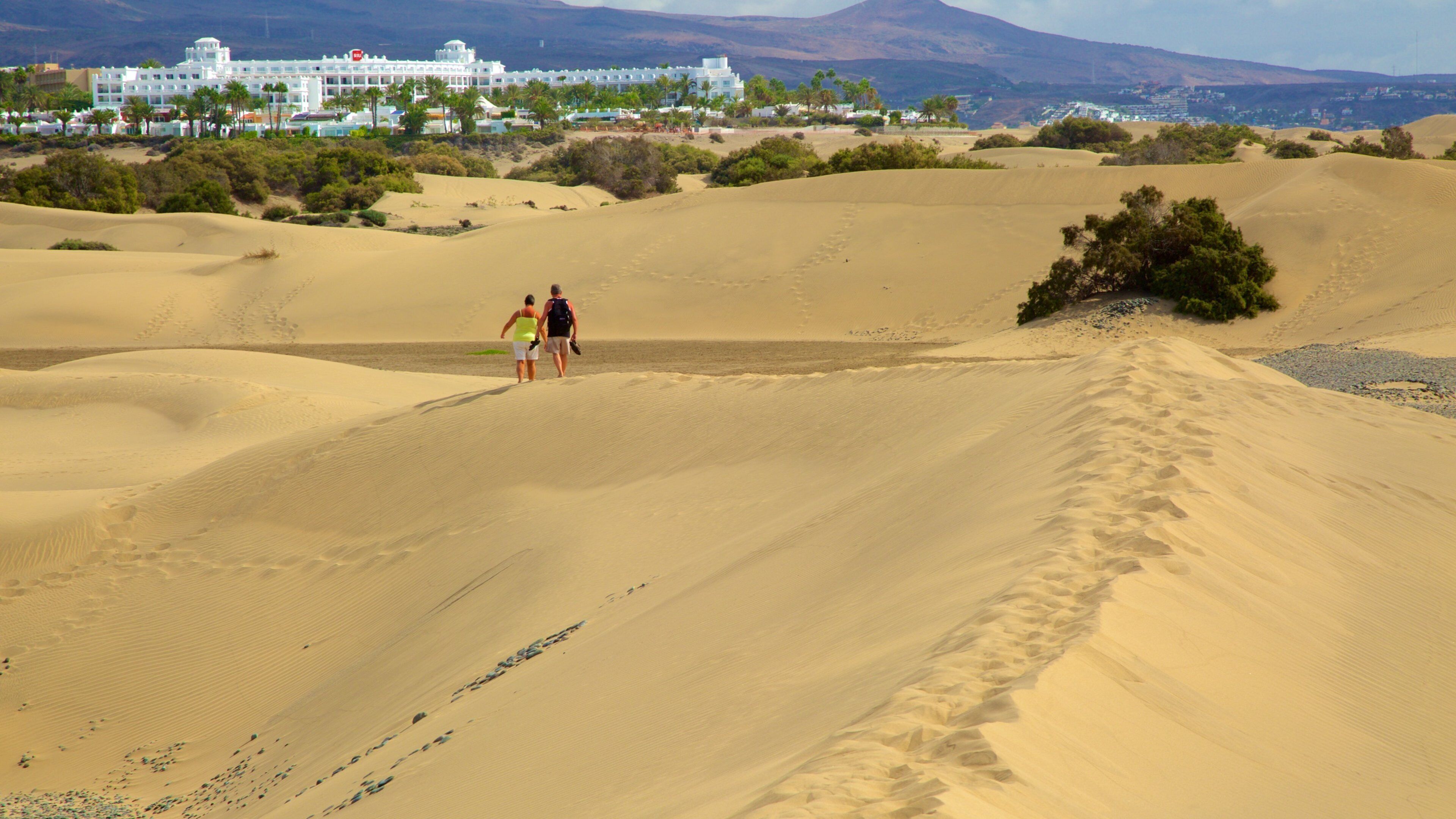 Maspalomas Dunes which includes desert views