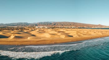 Maspalomas