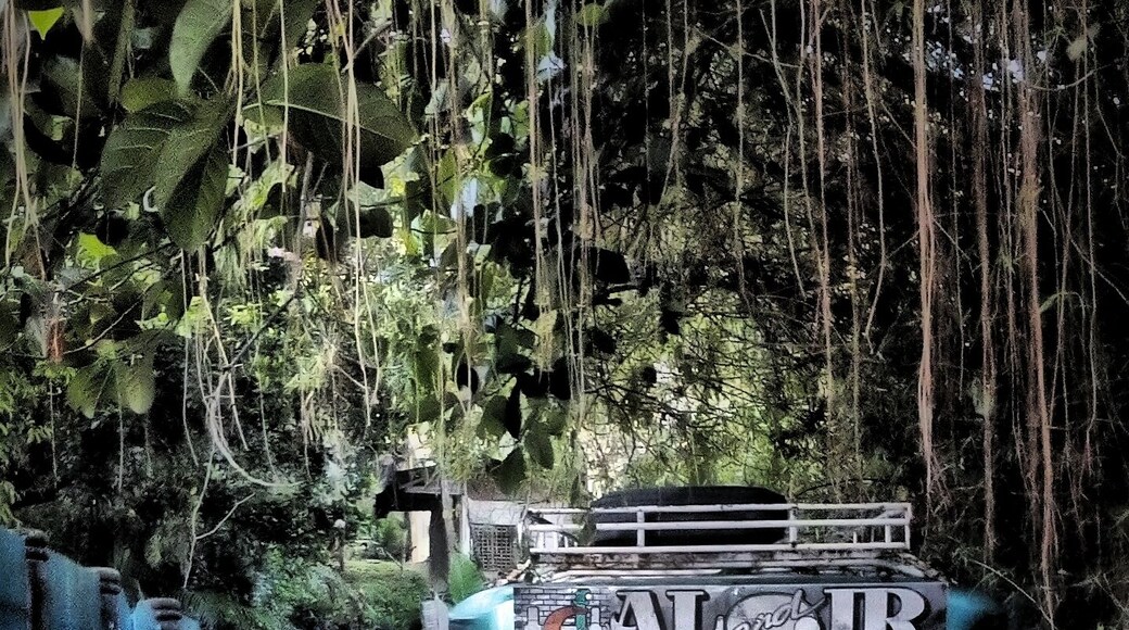 Miss you Philippines